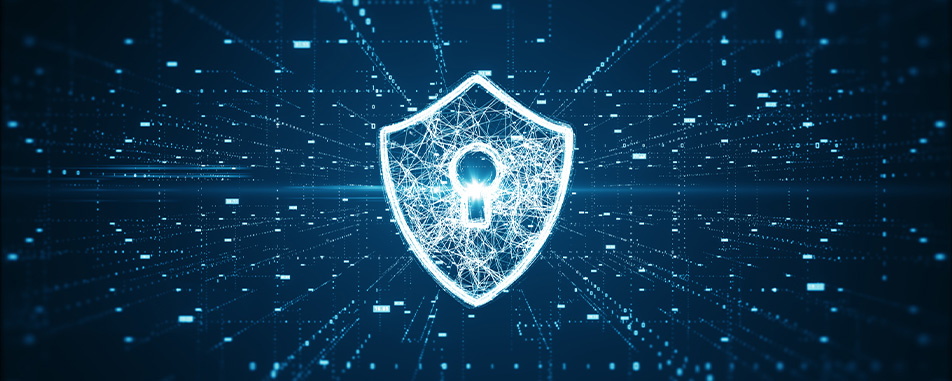 Cyber Liability
